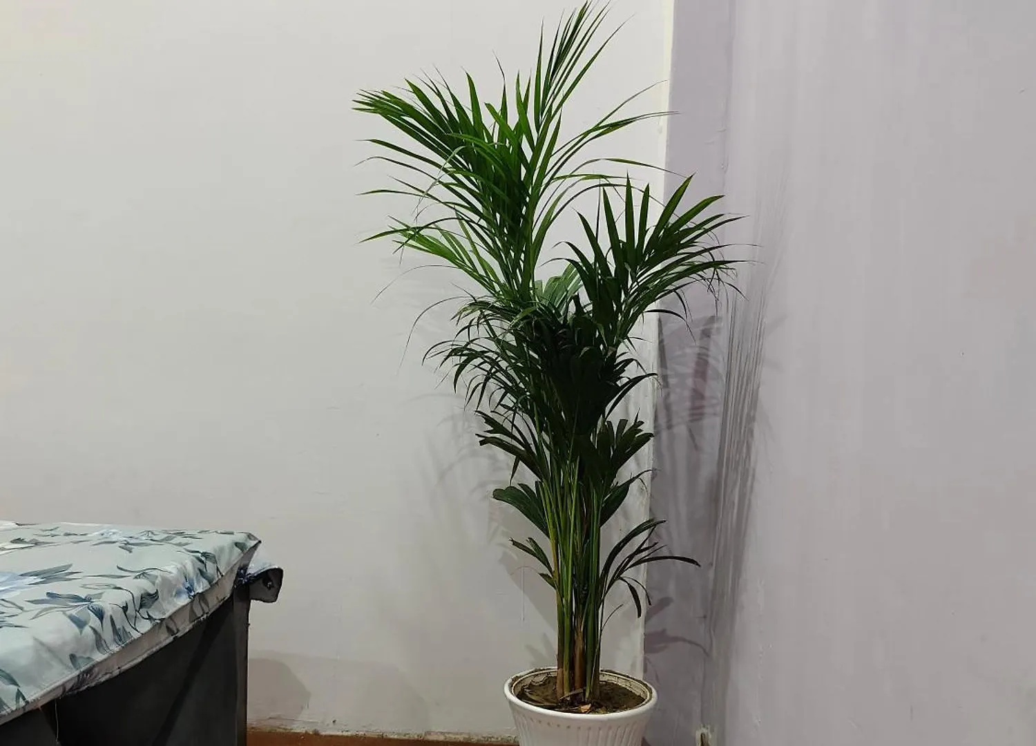 Villa Nyay Vatika Inn Varanasi
